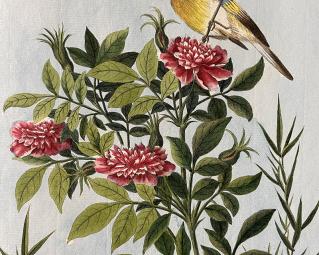 fleurs de chine oiseau