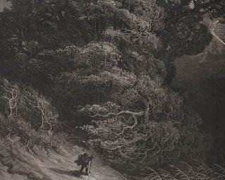 Forêt illustrée par Gustave Doré, cote PAT G 16