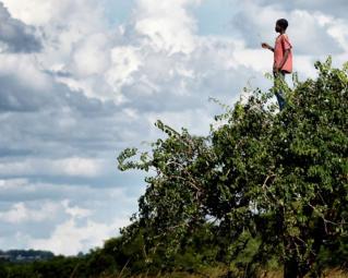 affiche printemps des poètes