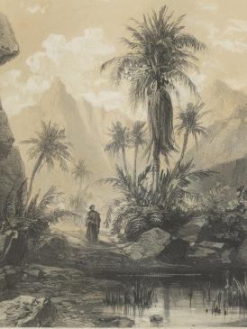 Lottin de Laval, Voyage dans la péninsule arabique, cote 10421