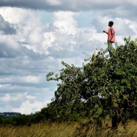 affiche printemps des poètes